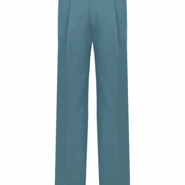 Pleated Trousers
